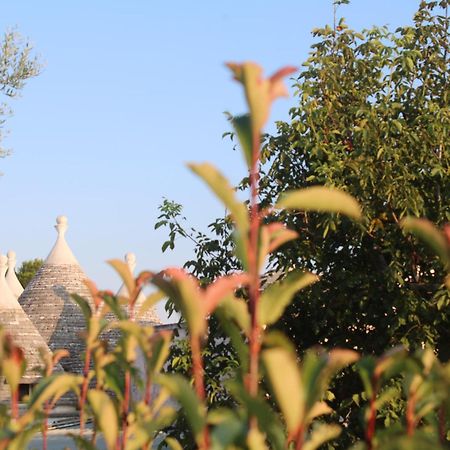 Pietra D'Angolo Locorotondo Luaran gambar