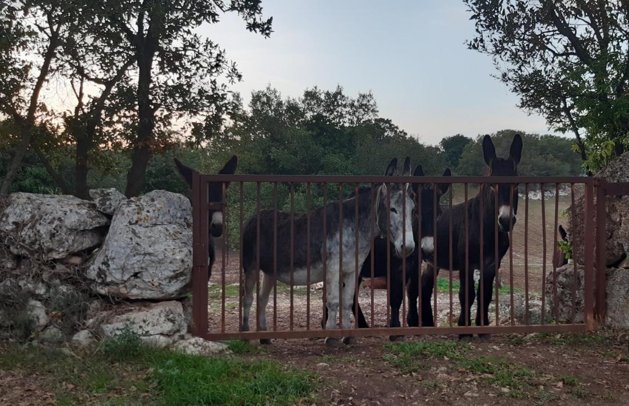 Pietra D'Angolo Locorotondo Luaran gambar